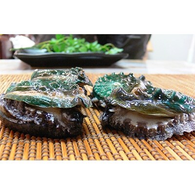 やわコリ食感紀州の蝦夷アワビ 【5-6個入】