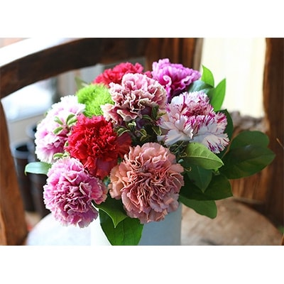 遅れてごめんね 母の日ギフト スイート10カーネーションアレンジ 21ありがとうママ お礼品詳細 ふるさと納税なら さとふる 遅れてごめんね 母の日ギフト スイート10カーネーションアレンジ 21ありがとうママ お礼品詳細 ふるさと納税なら さとふる