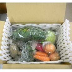 野田村の旬の野菜8種類程度詰合せ | ふるさと納税のお礼品