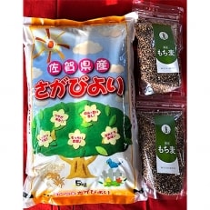 令和元年産さがびより(精米)5kg&もち麦(500g)2袋