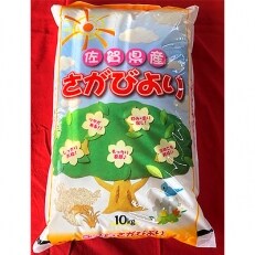 令和4年産さがびより(精米)10kg