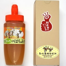 【阿波産】”天然”影山のはちみつ チューブタイプ500g×1本