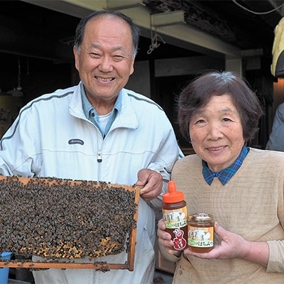 【阿波産】”天然”影山のはちみつ チューブタイプ500g×1本