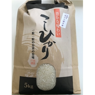 激安アウトレット処分市 | 激安通販のイーサプライ 令和6年産 近江米【コシヒカリ10kg】環境こだわり米 滋賀県 | 米・雑穀・粉類