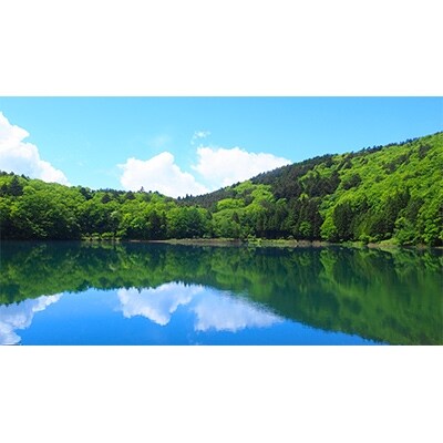 山上湖畔の宿　四尾連湖水明荘　ペア宿泊券(2名1泊2日2食付き)[5839-0086]