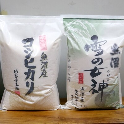 【先行受付】雪室貯蔵魚沼産コシヒカリ&魚沼産ミルキークイーン2品種食べ比べ10kg(各5kg×2)