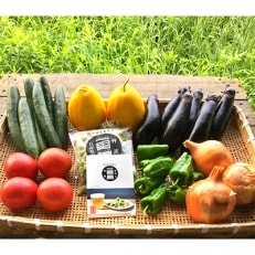 丹波市場から直送!新鮮夏野菜セットを4～7種類お届け