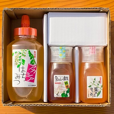 南魚沼産はちみつ&国産はちみつセット【1kg×1本・300g×2本】