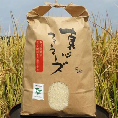 菜の花米(ミルキークイーン)　5kg