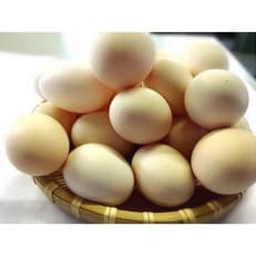 ひまわりたまご40個程度(破卵補償10個含)