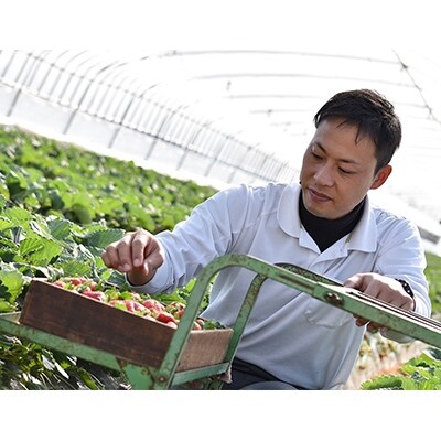 【11月以降発送】古都華・あすかルビー　2種類の贅沢セット　合計2パック