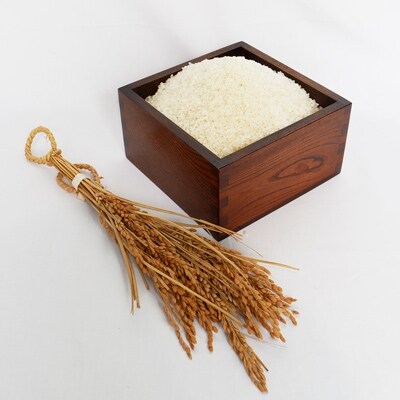「2021年5月下旬発送」【令和2年産】真砂屋　魚沼産コシヒカリ　25kg