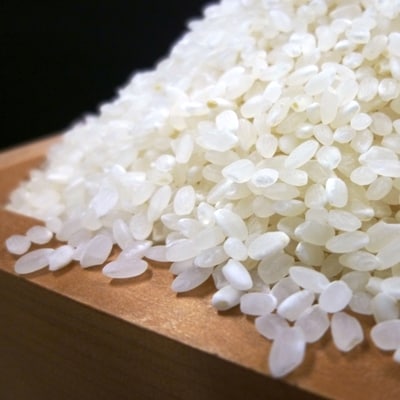 【令和5年産】『お米アドバイザー厳選!』魚沼産コシヒカリ 特別栽培米 精米10kg(5kg×2袋)