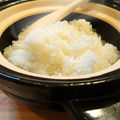 令和3年産 福井県産あきさかり(白米10kg)若狭の恵