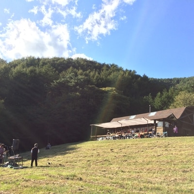 内閣総理大臣賞受賞　放牧卵60個(B-29)
