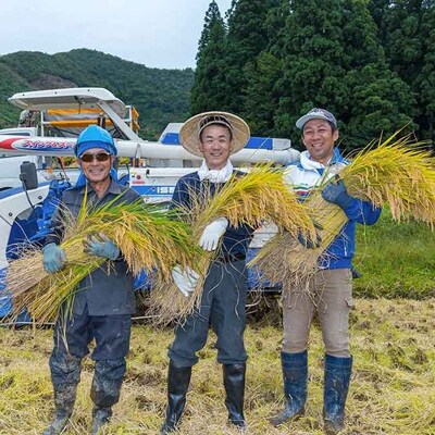 【令和元年産】北魚沼の旬米コシヒカリ【無洗米】4kg(2kg袋×2)