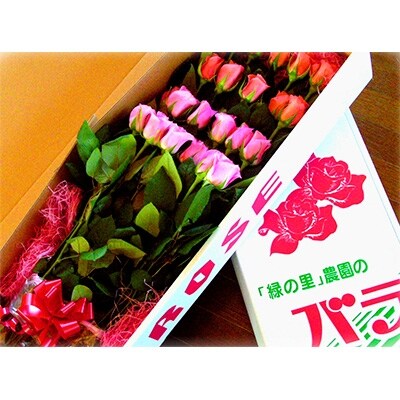 <3~5月発送>就労支援センター「緑の里」が育てた!バラ生花15本