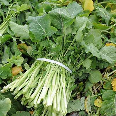 水かけ菜漬2kg(500g×4)