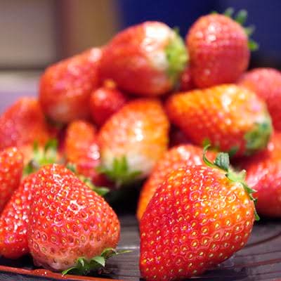 とちおとめ 4パック セット