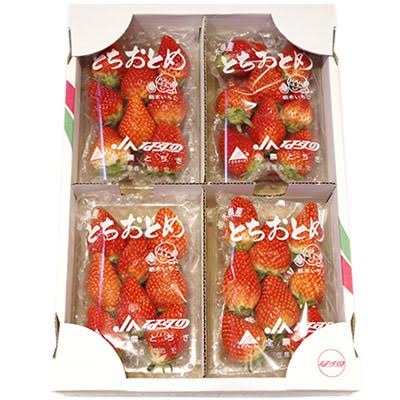 とちおとめ 4パック セット