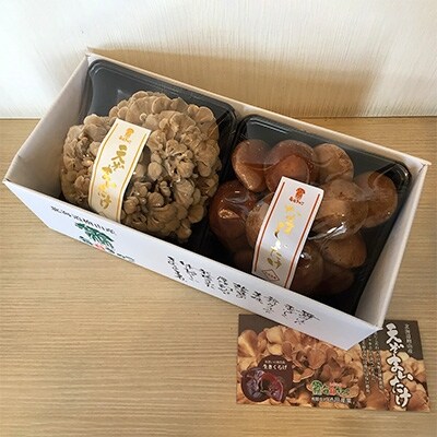 厳選 えぞまいたけ&生しいたけセット