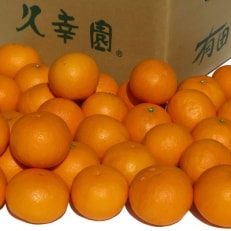 完熟清見オレンジ5kg (S・Mサイズ混合)