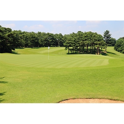 取手国際ゴルフ倶楽部〔平日1名プレー券地産お土産付〕東コース乗用セルフ