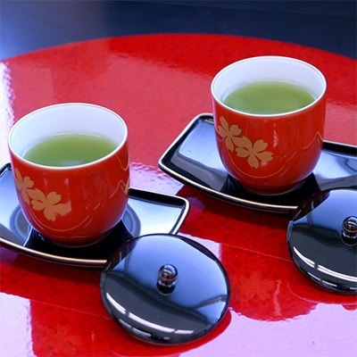 【深蒸し茶】特撰やぶ北100g袋×5本セット