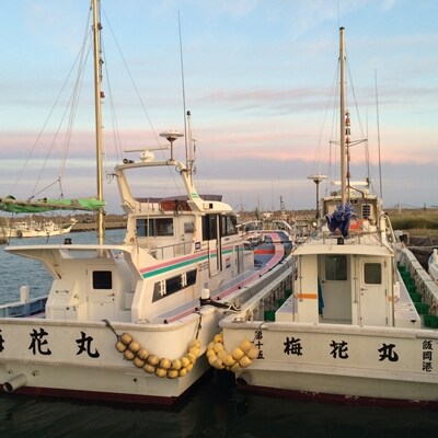 一つテンヤ マダイ釣りプラン乗船券(1名様)