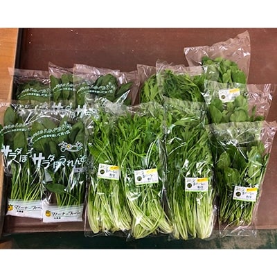水耕栽培野菜セット.