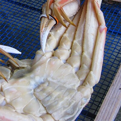 茹で松葉がに(小)約700g