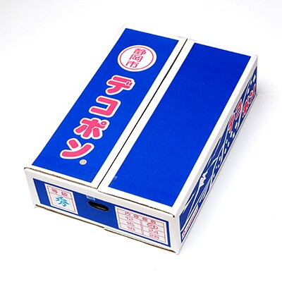 露地　デコポン　5kg