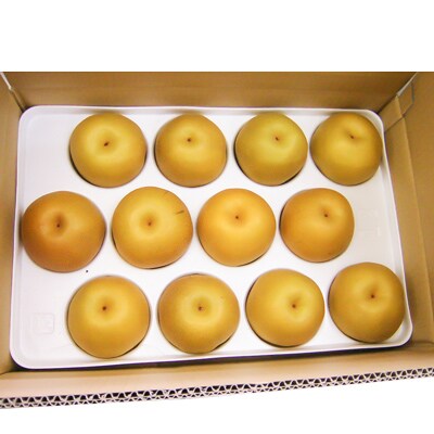 【奥筑前黒川の里】ブランド梨　高木梨(品種:豊水梨)5kg箱