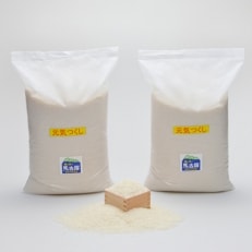 お米(元気つくし)　約11kg(約5.5kg×2袋)