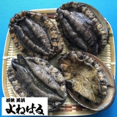 若狭湾の天然活黒アワビ　1kg【大サイズ】