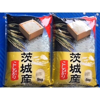 お米の代表品種コシヒカリ10kg【茨城県産コシヒカリ】