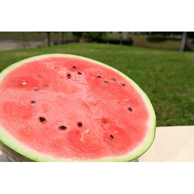 うしく河童西瓜(2L×2玉)約15kg【A品】