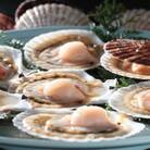 北海道産 ほたて片貝 大サイズ(40枚入)