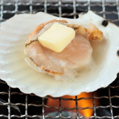 北海道産 ほたて片貝 大サイズ(40枚入)