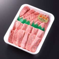 飛騨牛5等級　ミスジ・三角バラ　焼肉用　500g