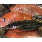 竹中水産の一押し「お手軽鮮魚2」2キロ前後【D22-236】