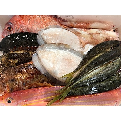 竹中水産の一押し「お任せ鮮魚!」2.5キロ前後【G22-237】
