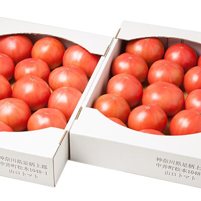 季節のトマト(約8kg) 　