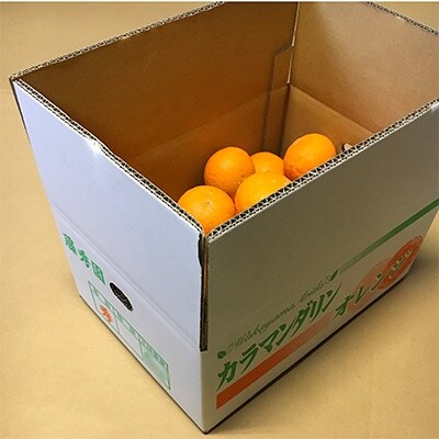 【2024年3月下旬より順次発送】こだわりのカラマンダリン　優　5kg