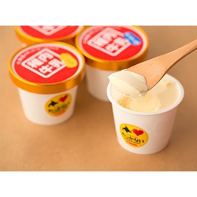 稚内牛乳　アイスクリーム4種12個セット(バニラ、チョコ、宗谷の塩、稚内産クマザサ)