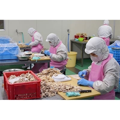 国産牛専門店バラエティーセット(3種類の牛すじ串と2種類の牛すじ角切り)