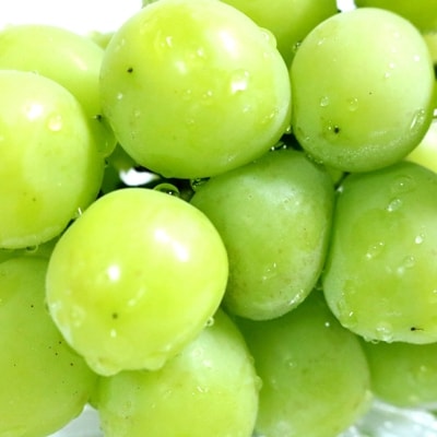 「農園直送 シャインマスカット1.5Kg」