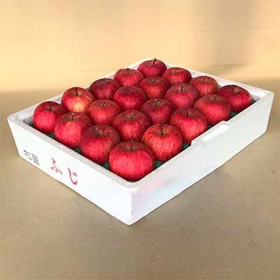 青森県産「ふじ」CA貯蔵りんご(冷蔵)5kg