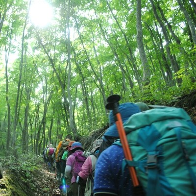 幻の県道あっぷるジュース6本入