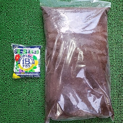 夏の花壇苗寄せ植え栽培セット